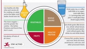 142755_harvard.healthyeatingplate_principal