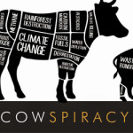 Videos cow