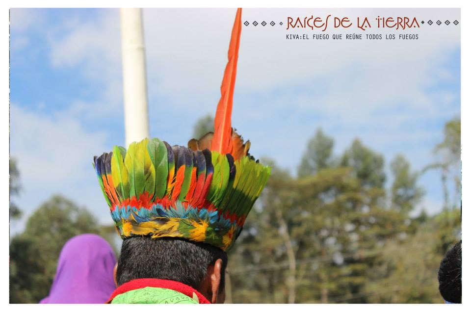 Raíces de la Tierra
