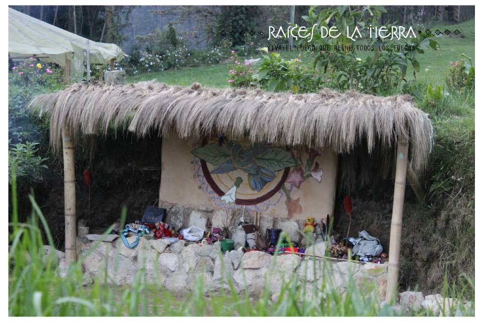 Raíces de la Tierra