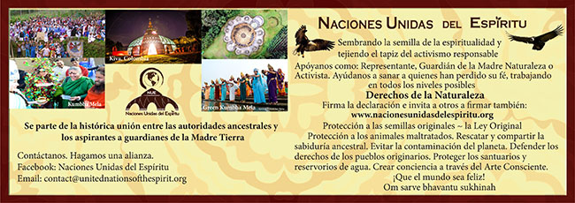 tarjeta de presentación Naciones Unidas del Espíritu