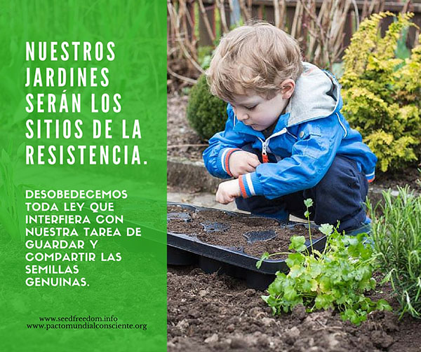desobediencia civil por las semillas