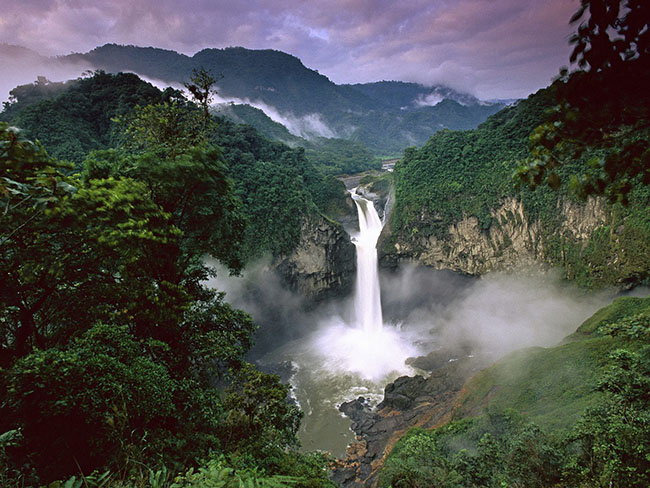 amazonia colombiana