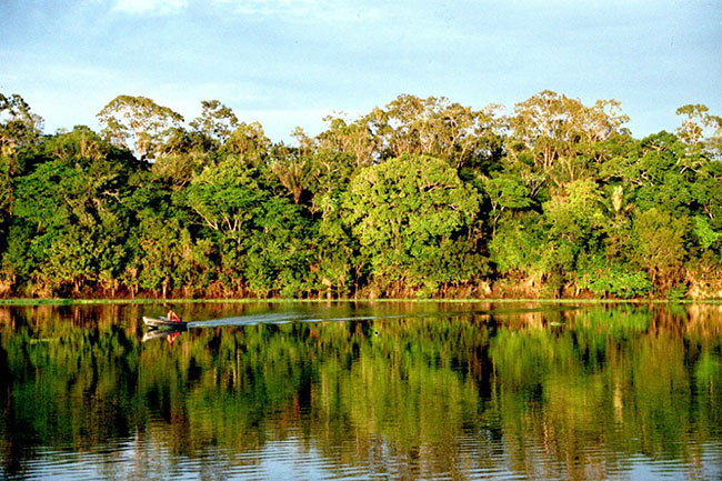 Amazônia colombiana reservatorio de agua doce